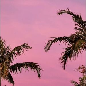 Meet your Posher, Cam